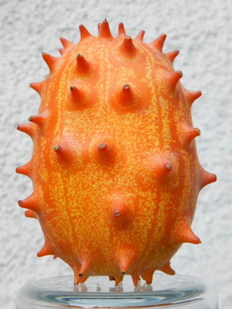 kiwano uprawa